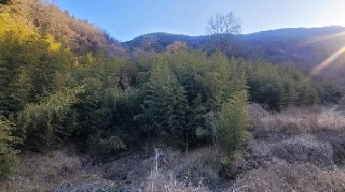 경상남도 함안군 군북면 박곡리 1085
