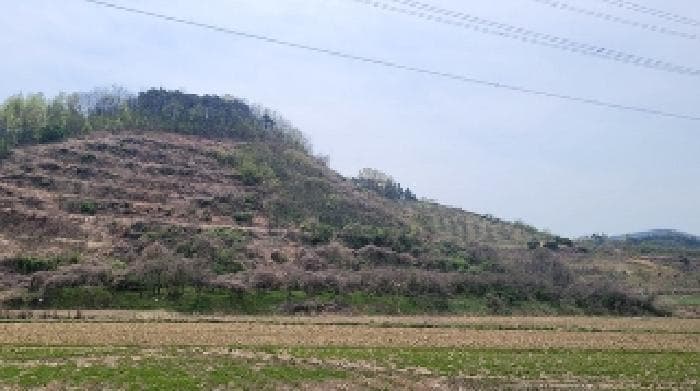 경상남도 함안군 칠북면 덕남리 1248
