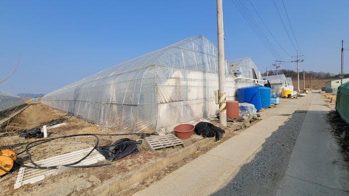 경상남도 함안군 법수면 윤내리 50-16 외 1 필지