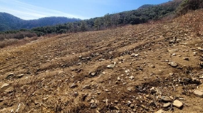 경상남도 함안군 여항면 주서리 1089-1