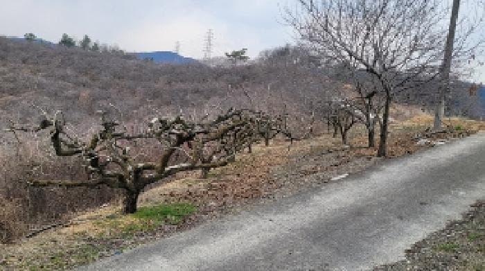 경상남도 함안군 칠북면 덕남리 1285-1