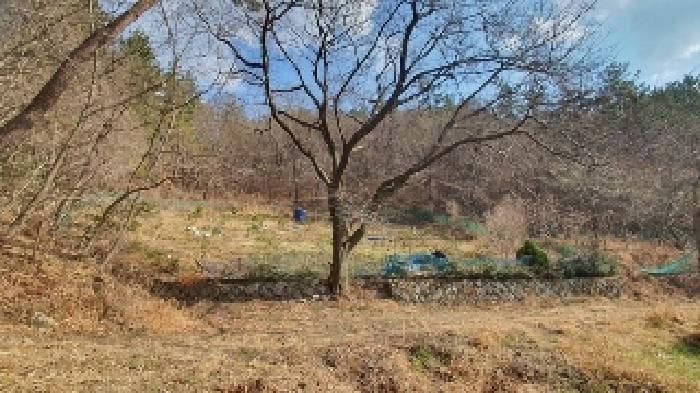 경상남도 창원시 마산합포구 구산면 내포리 966