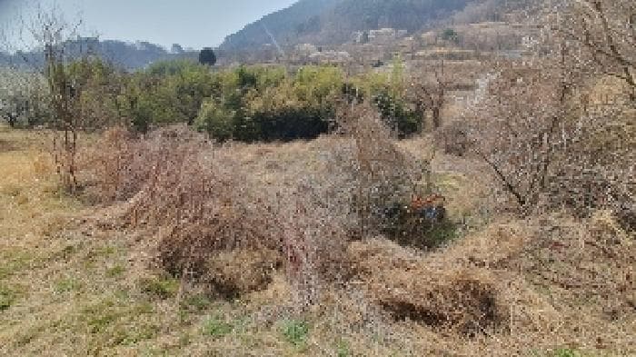 경상남도 창원시 마산합포구 진동면 신기리 252