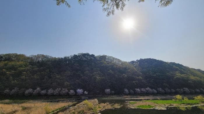 경상남도 함안군 가야읍 검암리 산42-1