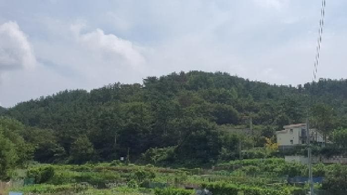 경상남도 창원시 마산합포구 구산면 심리 86