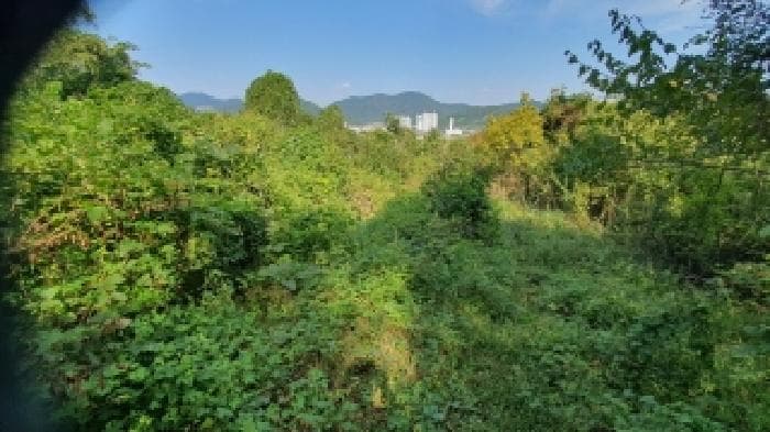 경상남도 창원시 마산합포구 진동면 신기리 84