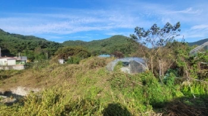 경상남도 함안군 산인면 신산리 391