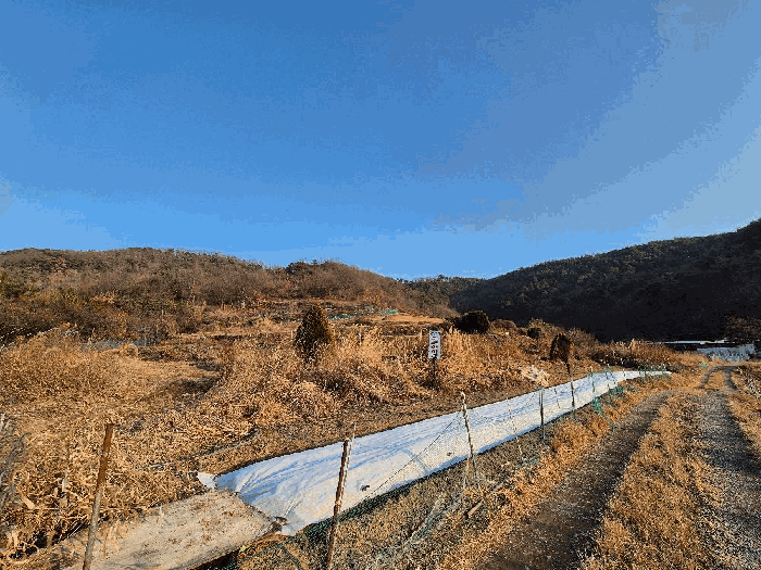 경상남도 함안군 대산면 장암리 43-2