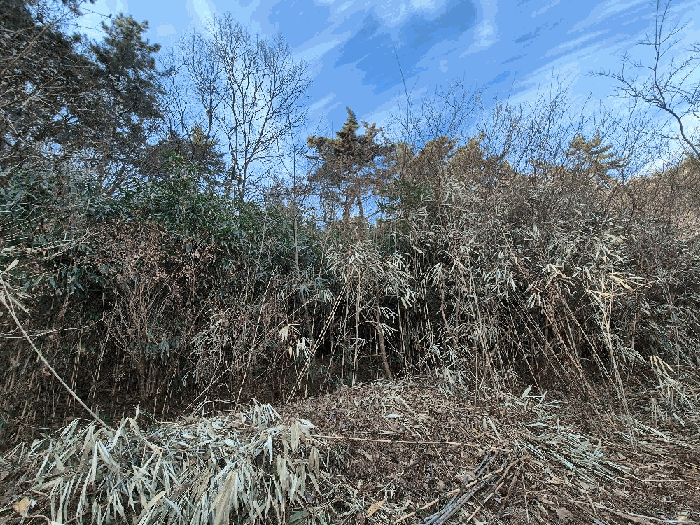 경상남도 창원시 마산합포구 진동면 다구리 168 외 4 필지