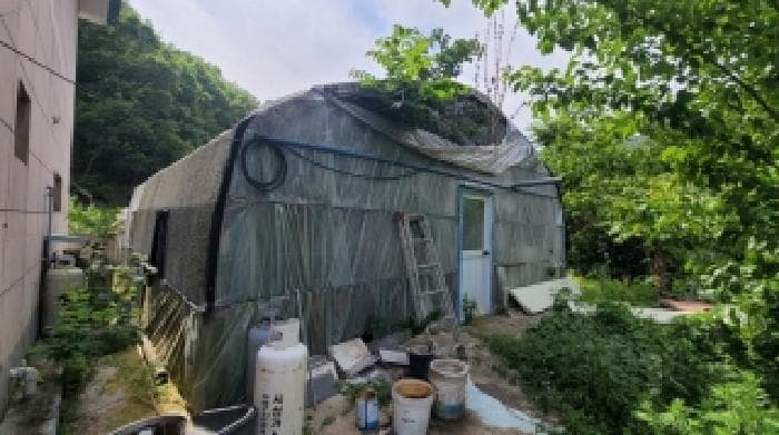 경상남도 의령군 지정면 오천리 798 외 1 필지