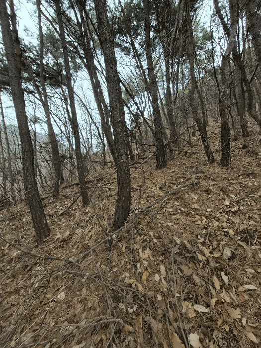 경상남도 창원시 마산회원구 내서읍 안성리 산44
