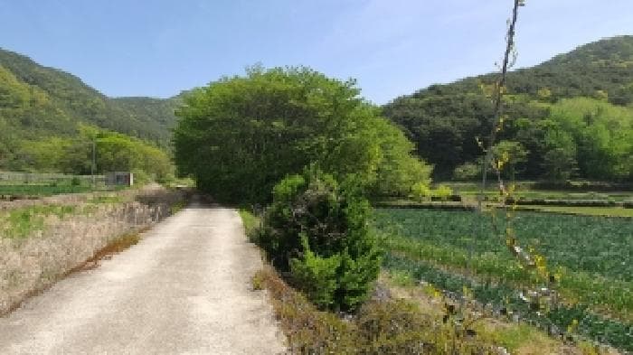 경상남도 창원시 마산합포구 진전면 양촌리 900