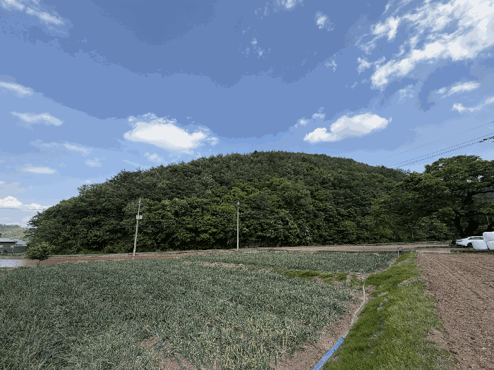 경상남도 의령군 봉수면 서득리 산35