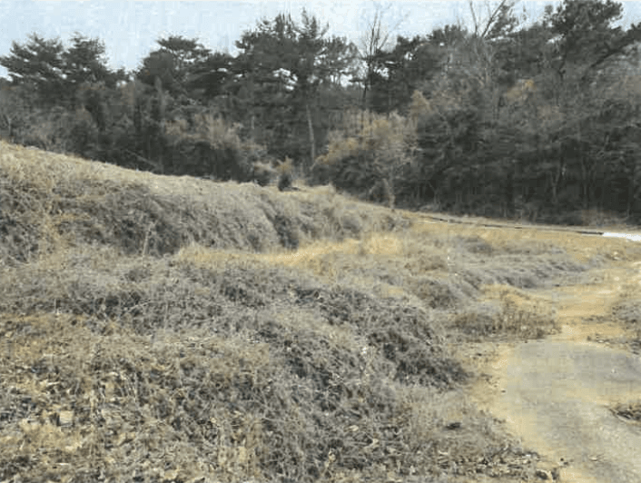 경상남도 남해군 서면 정포리 888