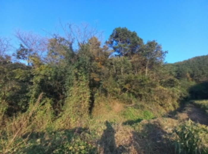 경상남도 진주시 사봉면 부계리 산366-2 외 1 필지