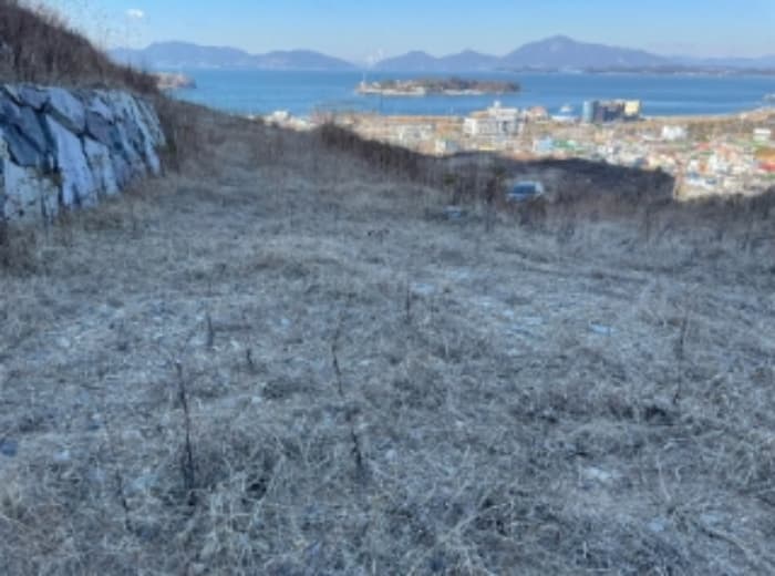경상남도 사천시 실안동 산247-1 외 2 필지