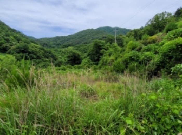 경상남도 하동군 화개면 부춘리 142-4 외 1 필지