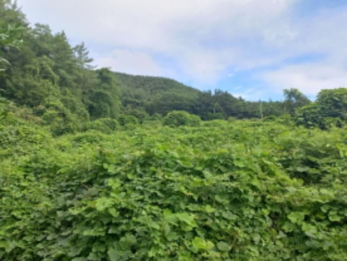 경상남도 남해군 창선면 율도리 700-3 외 1 필지