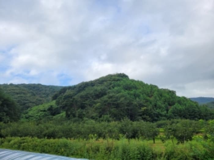 경상남도 진주시 미천면 효자리 산219 외 3 필지