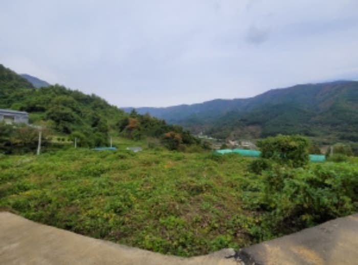 경상남도 산청군 삼장면 홍계리 846 외 1 필지