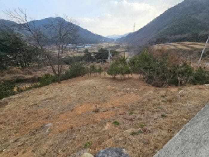 경상남도 산청군 단성면 호암로 569-4 외 1 필지