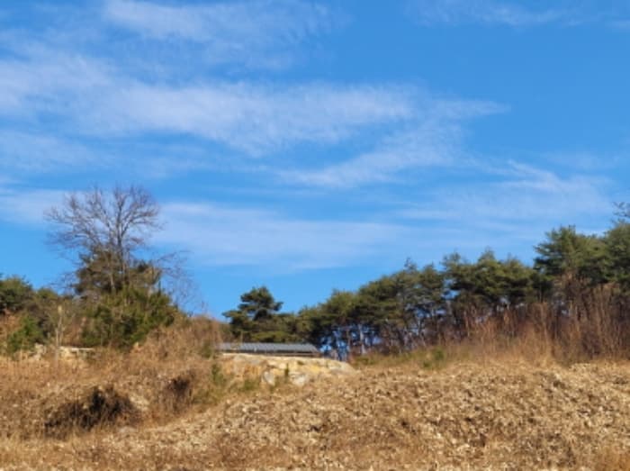 경상남도 산청군 단성면 운리 산98-3