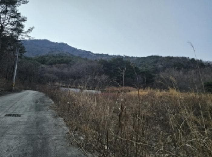 경상남도 산청군 단성면 방목리 산176 외 2 필지
