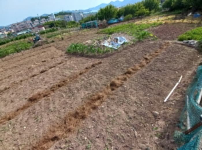 경상남도 사천시 서동 19