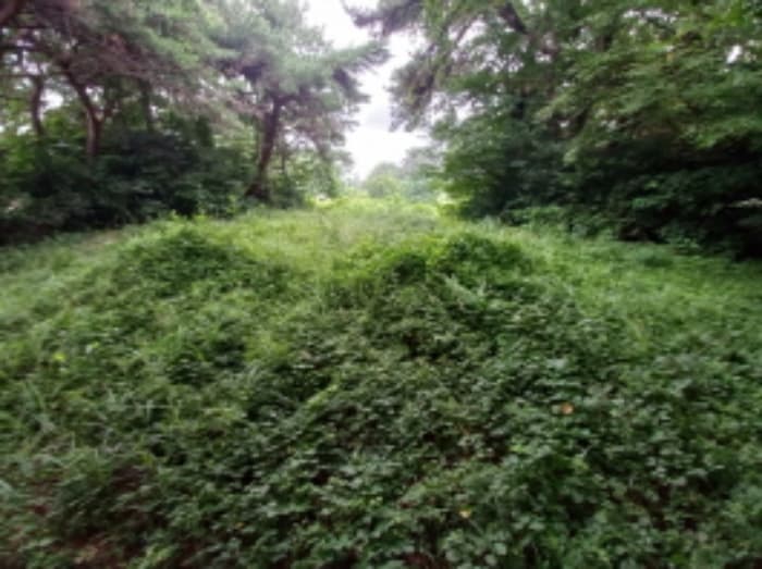 경상남도 남해군 남면 선구리 1339-37