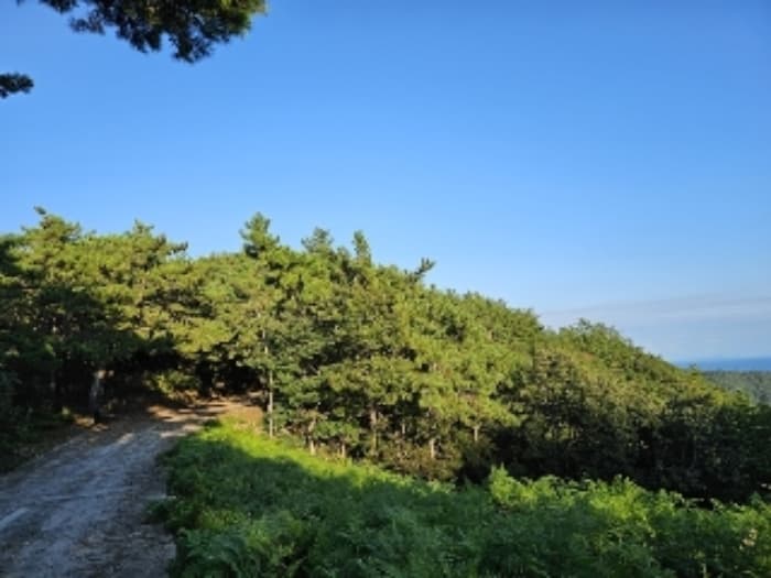 경상남도 남해군 창선면 진동리 산220