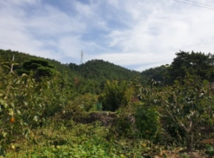 경상남도 사천시 용현면 석계리 산60-3
