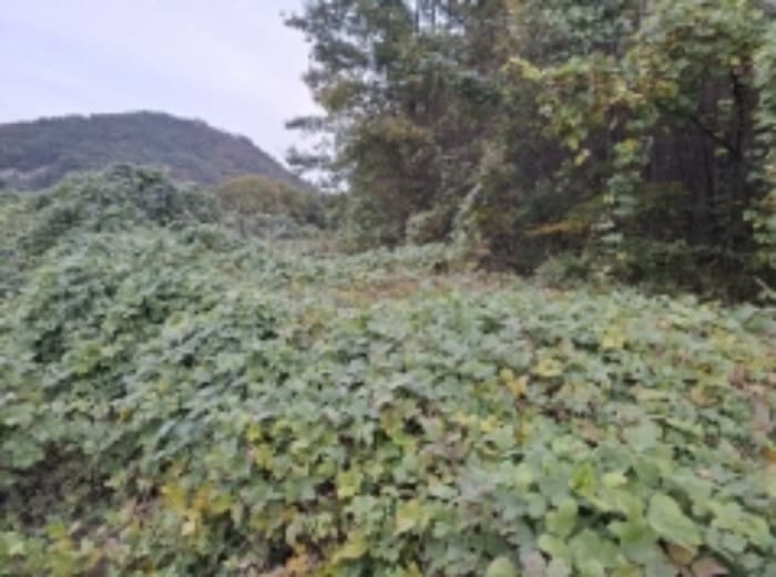 경상남도 남해군 남면 홍현리 464 외 7 필지
