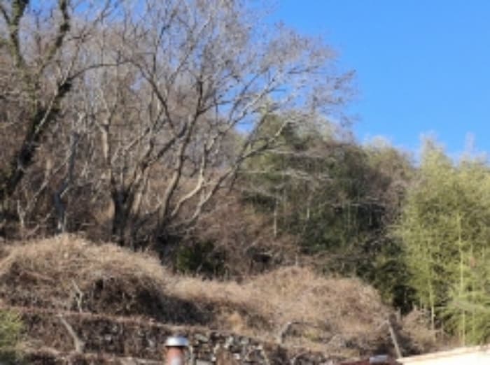경상남도 남해군 상주면 양아리 631