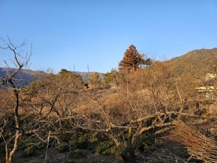경상남도 하동군 악양면 신흥리 761-3