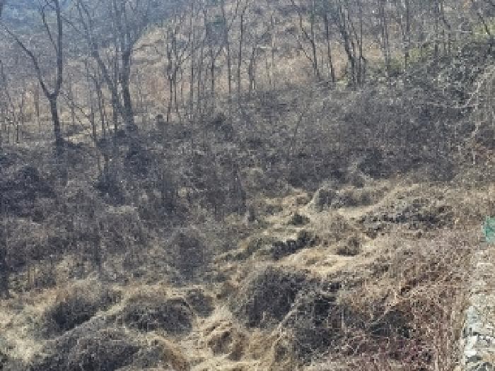 경상남도 산청군 단성면 자양리 561-11 외 4 필지