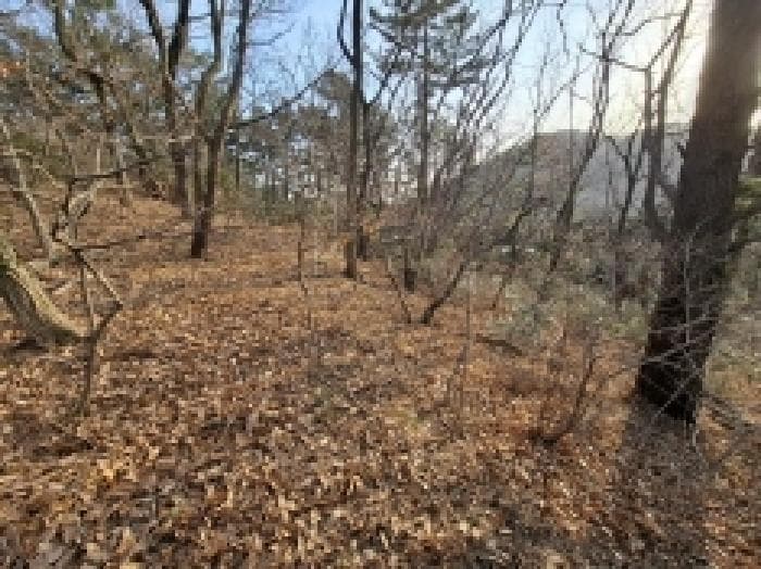 경상남도 남해군 미조면 미조리 27-6