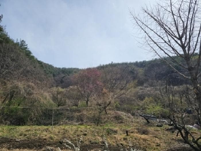 경상남도 진주시 명석면 신기리 594
