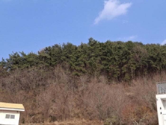 경상남도 사천시 백천동 산68-13