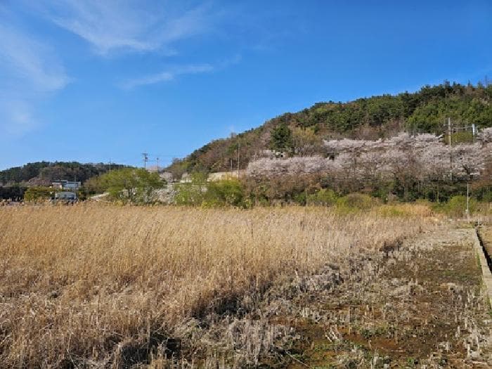 경상남도 하동군 고전면 전도리 624-1