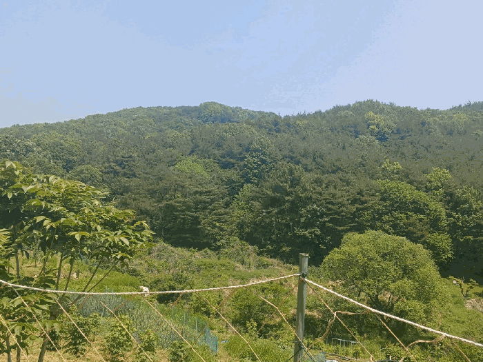 경상남도 산청군 신안면 안봉리 산224-2