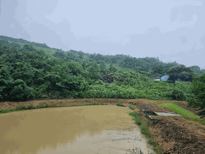 경상남도 산청군 산청읍 차탄리 산9-8