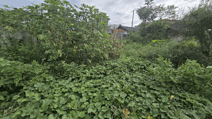 경상남도 진주시 문산읍 삼곡리 1251-10 외 2 필지