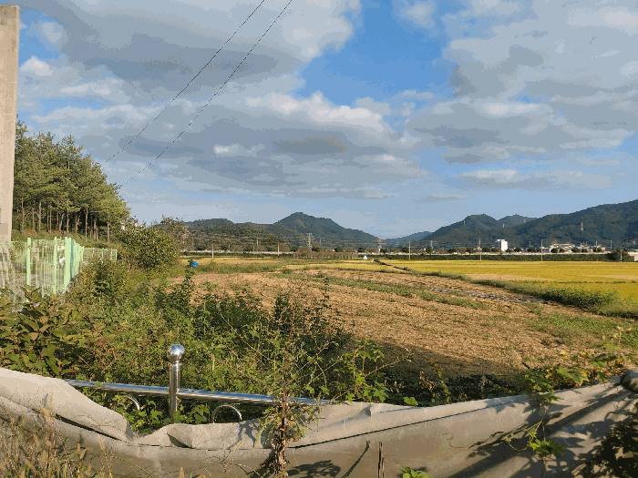 경상남도 사천시 사남면 월성리 242-2 외 4 필지