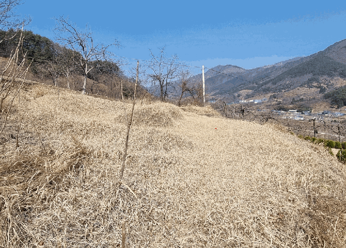 경상남도 산청군 삼장면 대포리 338