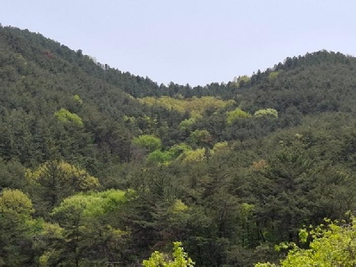 경상남도 사천시 사천읍 금곡리 산55-1 외 2 필지