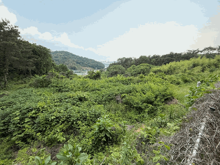 경상남도 진주시 금산면 송백리 326