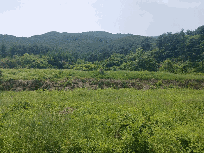 경상남도 산청군 산청읍 내리 산16-4 외 1 필지