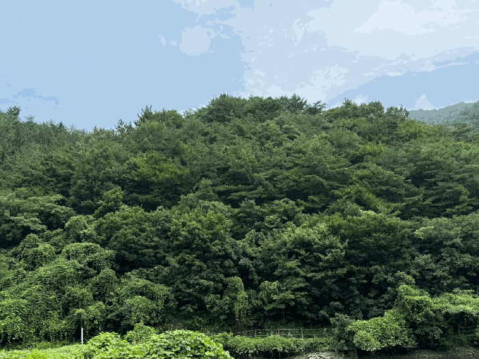 경상남도 진주시 이반성면 길성리 산8 외 1 필지