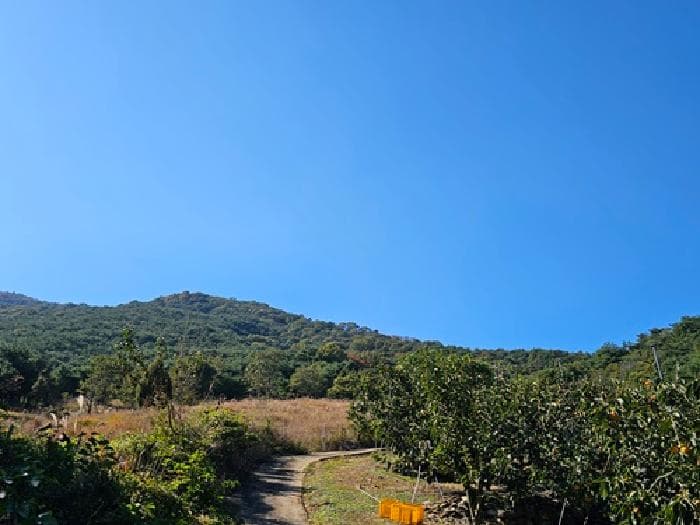 경상남도 산청군 신등면 양전리 산60