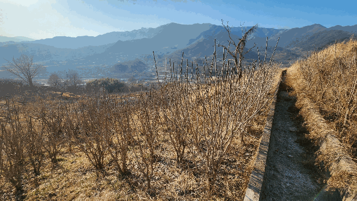 경상남도 하동군 악양면 중대리 643